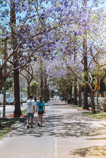 Tel Aviv in the spring