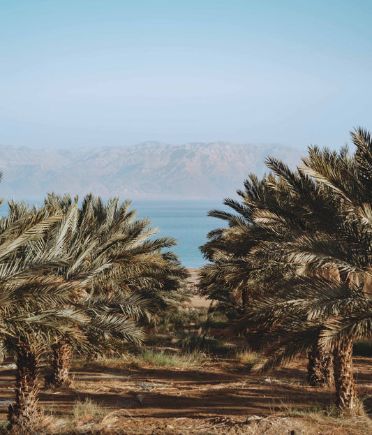 Dead Sea Views